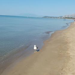 6/8/2018 - Παραλία Έξω Λούρου - Αιτωλοακαρνανία