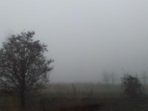 Καλή κοιλάδα μέσα στην ομίχλη-Αριδαία ν.Πέλλας