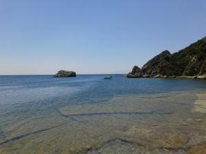 Τάρτι, Λέσβος