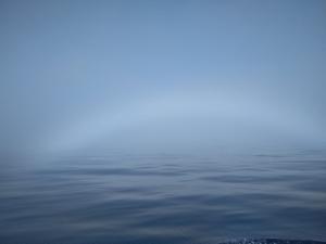 Λευκό ουρανιο τοξο. Βγαίνοντας από ομίχλη ανάμεσα Λευκάδα και Αντιπαξους. 13/7\nΠροσπαθησα να το στειλω απο σμαρτ φοουν αλλα ο κρυφος αριθμος δεν εμφανιζονταν